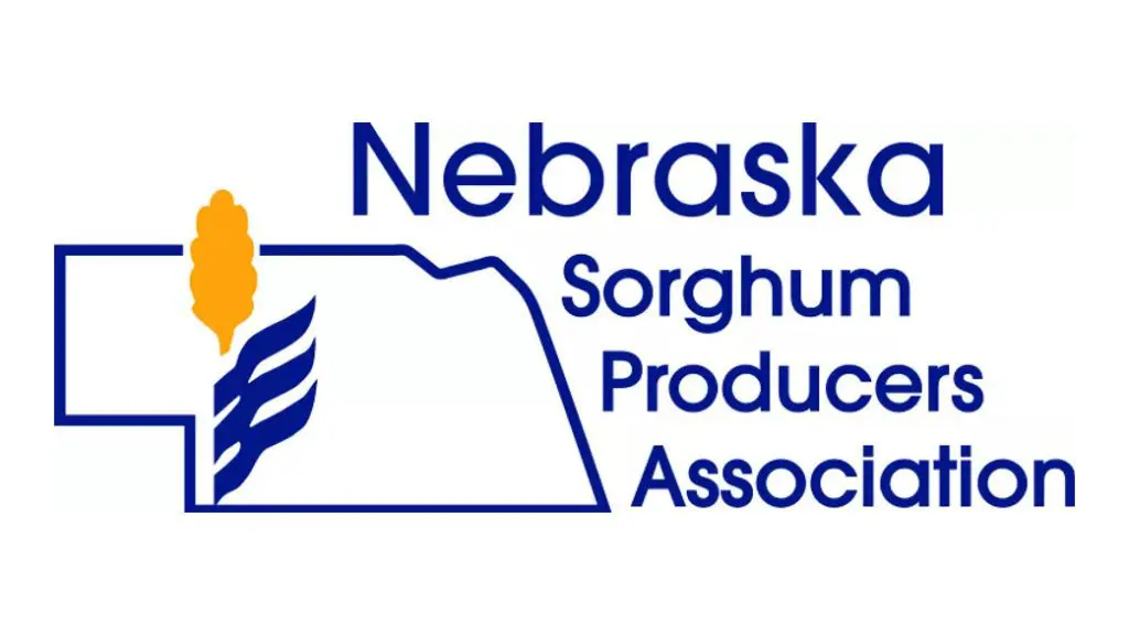 Take Sorghum Seriously